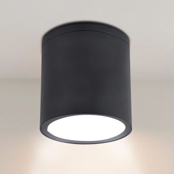 Udendørs spotlampe OHIO 1xGU10/10W/230V IP54 sort