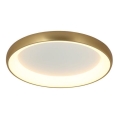 Zambelis 2050 - LED loftlampe dæmpbar LED/50W/230V diameter 60 cm guldfarvet