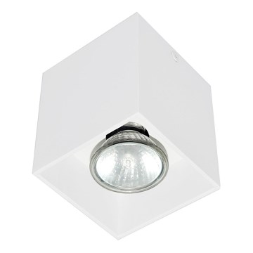 Zuma Line - Spotlampe 1xGU10/50W/230V hvid